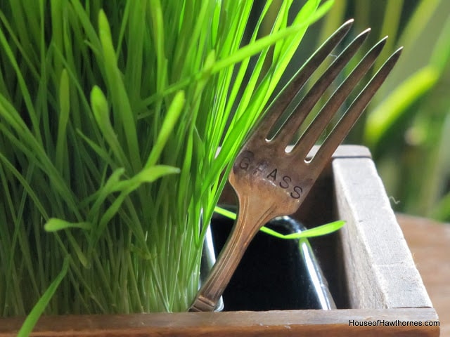 stamped silverware used as plant marker