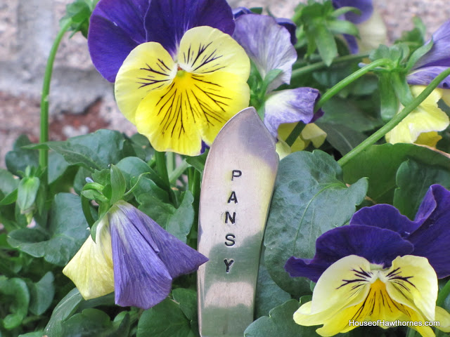 a palavra pansy estampada em talheres