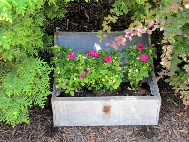 Impatiens planted in an old toolbox.