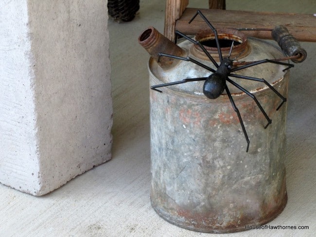 Back spider on an old gas can.