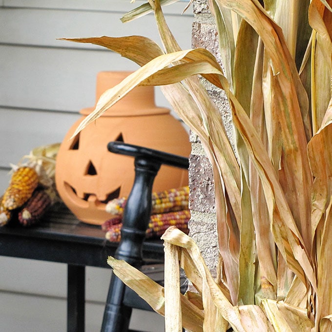 Fun fall front porch decor using traditional cornstalks, Indian corn, gourds and mums along with the unexpected - a vintage toy truck loaded with pumpkins.