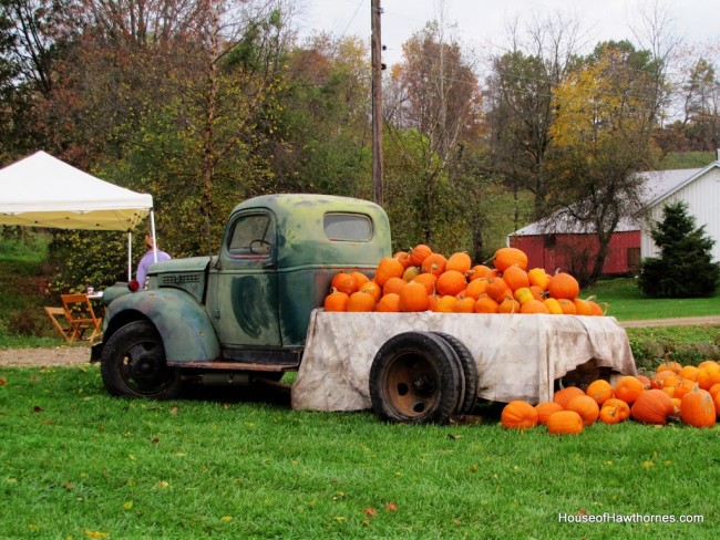 Green truck with pumpkins in the back of the bed.