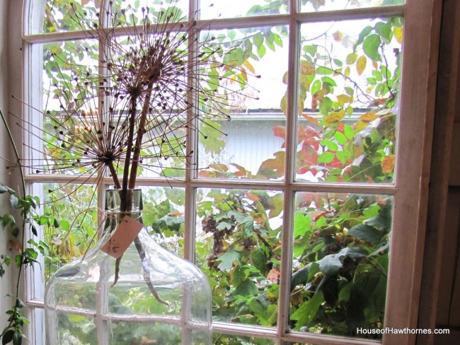 Dried flowers in a glass jar.