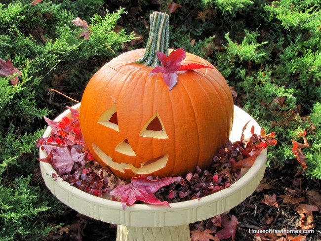 A pumpkin in a birdbath may not be traditional fall decor, but it is a fun and easy way to display your outdoor Jack O Lantern for Halloween