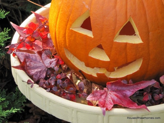 A pumpkin in a birdbath may not be traditional fall decor, but it is a fun and easy way to display your outdoor Jack O Lantern for Halloween