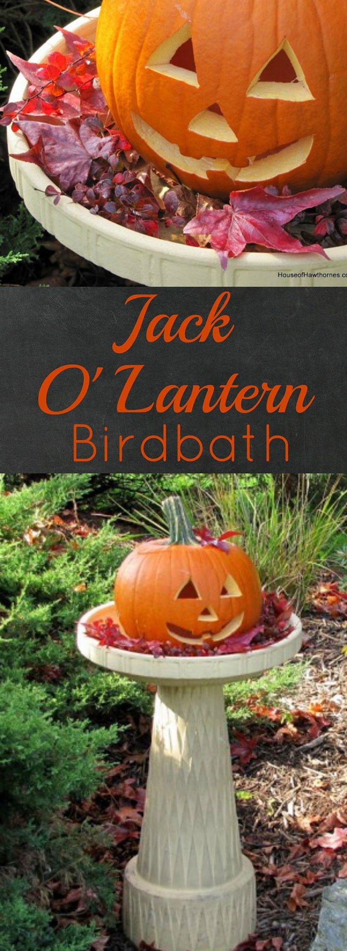A pumpkin in a birdbath may not be traditional fall decor, but it is a fun and easy way to display your outdoor Jack O Lantern for Halloween