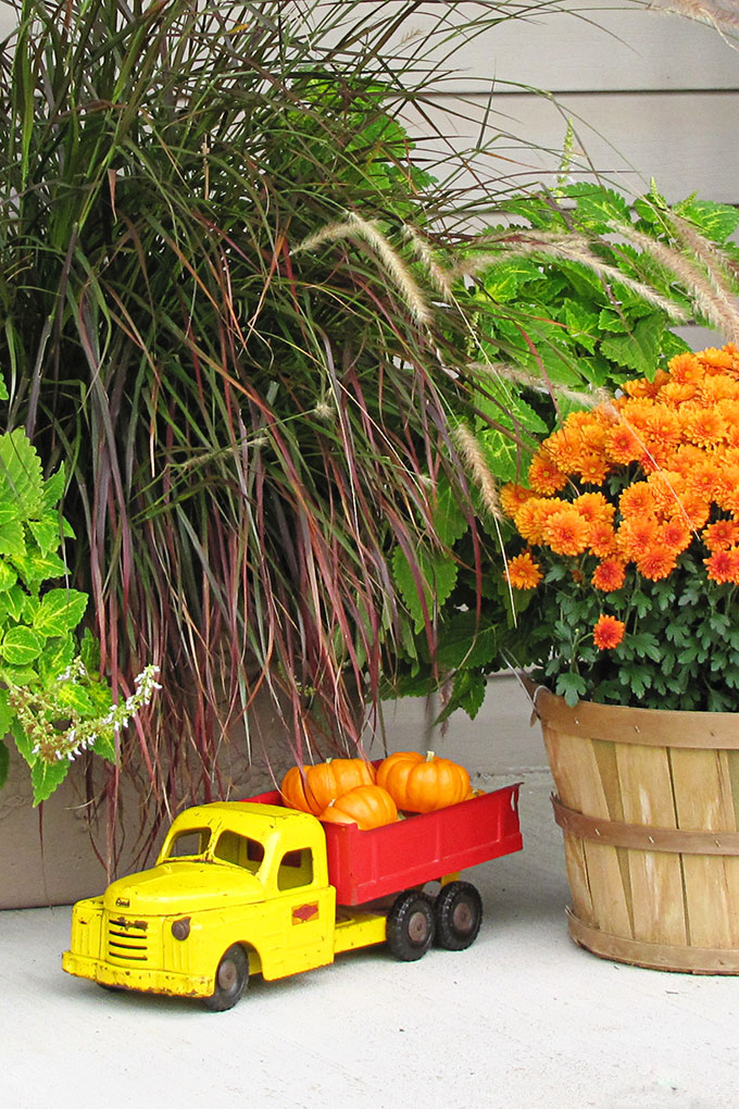 Fun fall front porch decor using traditional cornstalks, Indian corn, gourds and mums along with the unexpected - a vintage toy truck loaded with pumpkins.