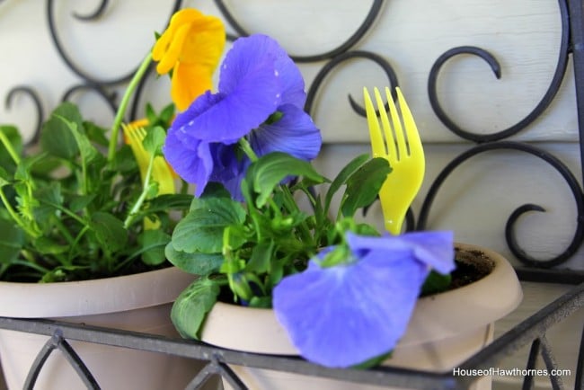 Fork in pansies.