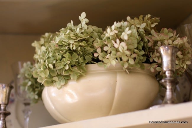 Dried hydrangea in a bowl.