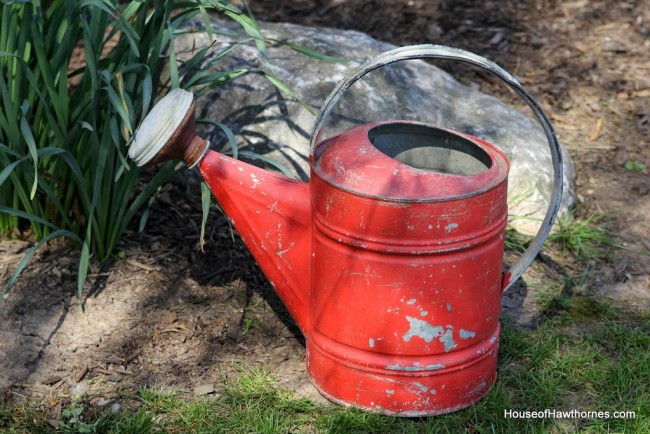 Red watering can.