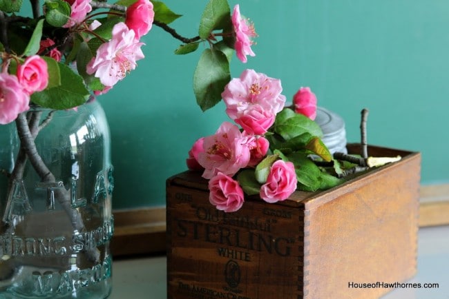 Gorgeous pink crabapple blossoms against a vintage green chalkboard.