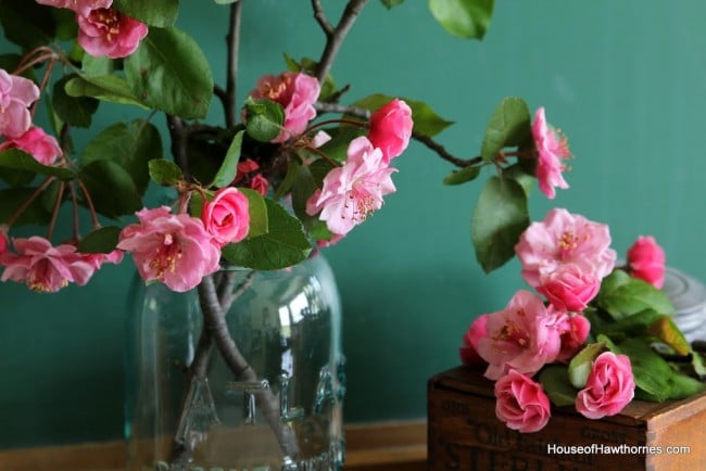 Gorgeous pink crabapple blossoms against a vintage green chalkboard.
