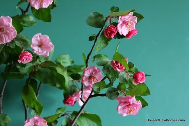 Gorgeous pink crabapple blossoms against a vintage green chalkboard.