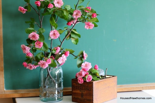 Gorgeous pink crabapple blossoms against a vintage green chalkboard.