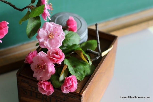 Gorgeous pink crabapple blossoms against a vintage green chalkboard.