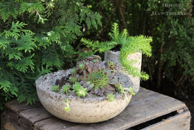 make lightweight hypertufa planters