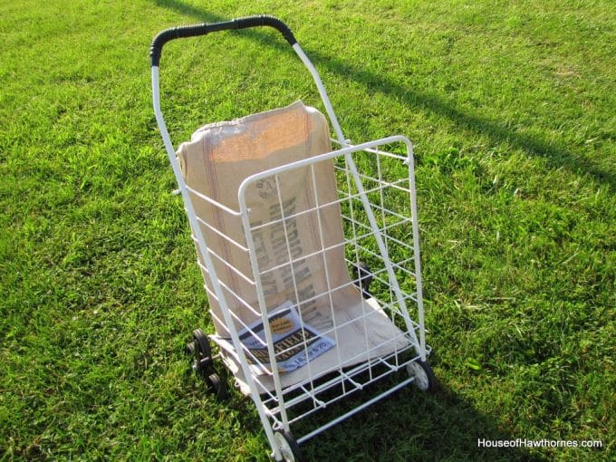 Springfeild Cart Shopping My Way Through Springfield - House of Hawthornes