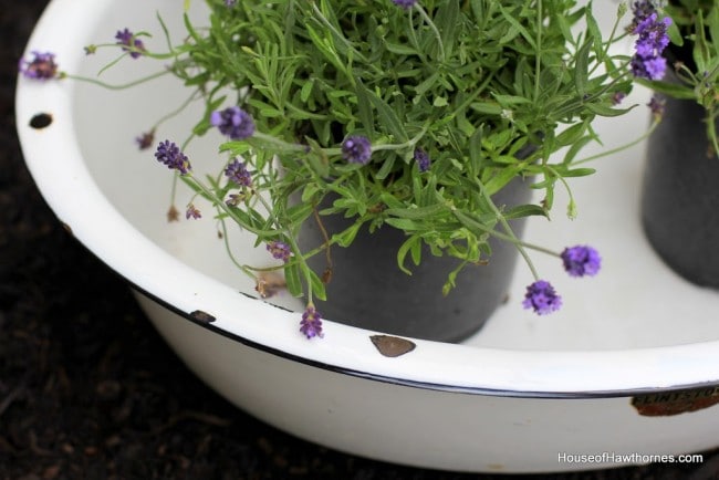 Vintage enamelware wash basin.