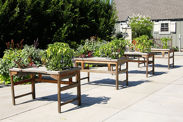 Handicap gardening area at the Franklin Park Conservatory Community Garden