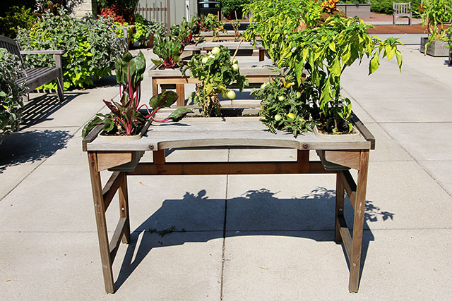 Handicap gardening table at the Franklin Park Conservatory Community Garden