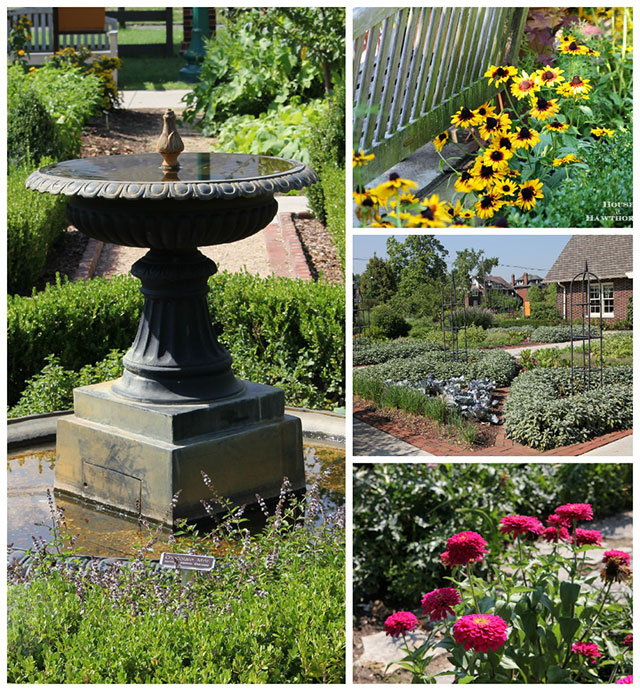 Tour of a beautiful community garden in Ohio.