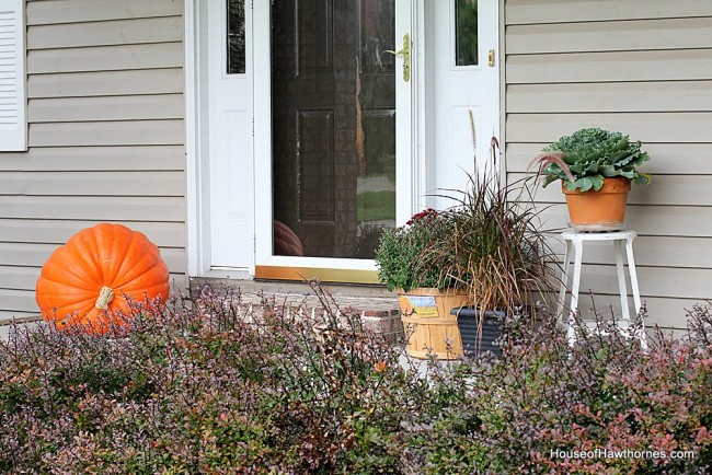 Fall front porch ideas including a HUGE pumpkin, apples, gourds and lots of autumn flowers and perennials.