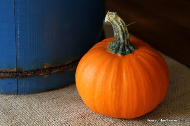 Orange and turquoise for fall decor are a perfect color combo. I mean, Howard Johnson made it work for all those years, so why not!