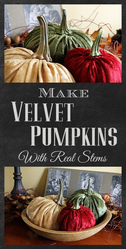 How To Make Velvet Pumpkins With Real Stems