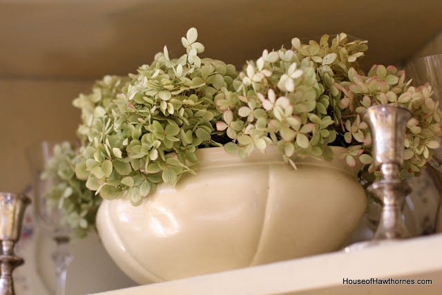 Dried hydrangea in a soup tureen.