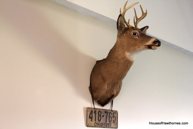 Deer head on the wall.