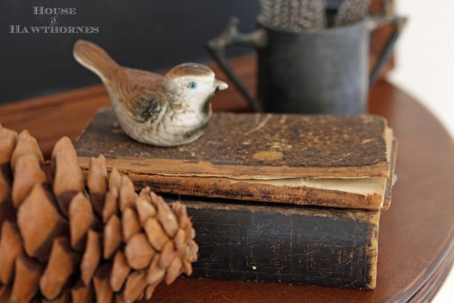 Brown bird salt and pepper shaker setting a a pile of books for added height. 