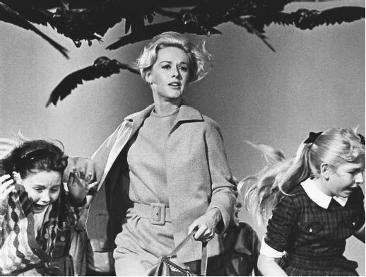 Photo of Tippi Hedren from The Birds movie. 