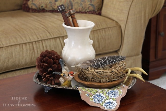 Bird themed vignette setting on a coffee table. 