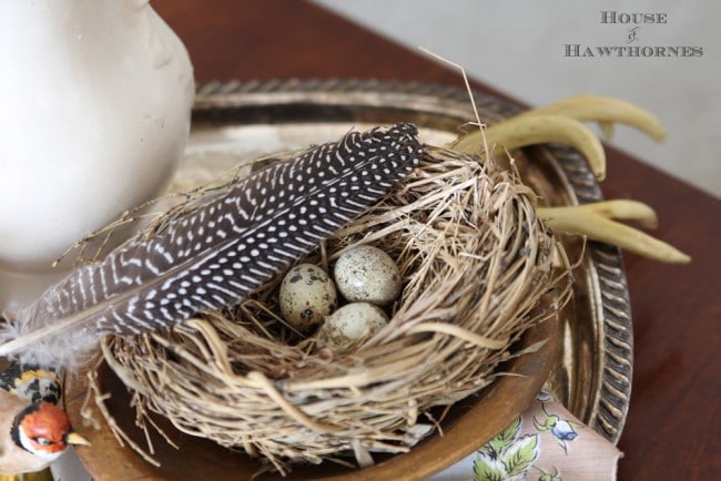 Birds nest with eggs and a feather setting on a silver tray. 