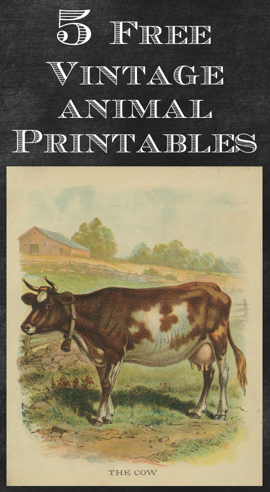 Vintage farmhouse animal printables you could use for crafts or just print out and frame (wouldn't these look cute in a baby's room?) #farmhouse #farmhousestyle #farmhousedecor #printables #frenchcountry #vintagedecor