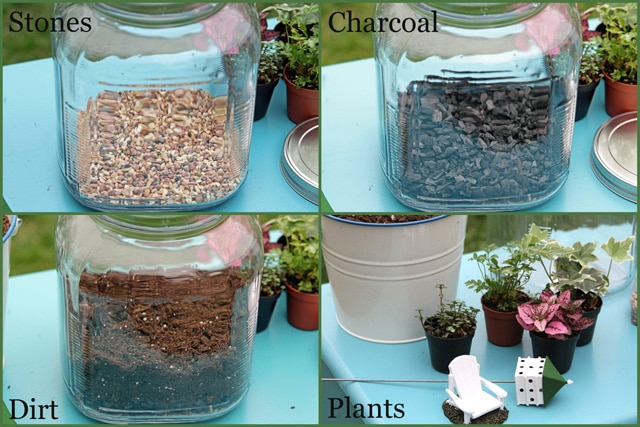 Terrarium tutorial - vintage looking terrarium made out of glass cracker jar from Walmart