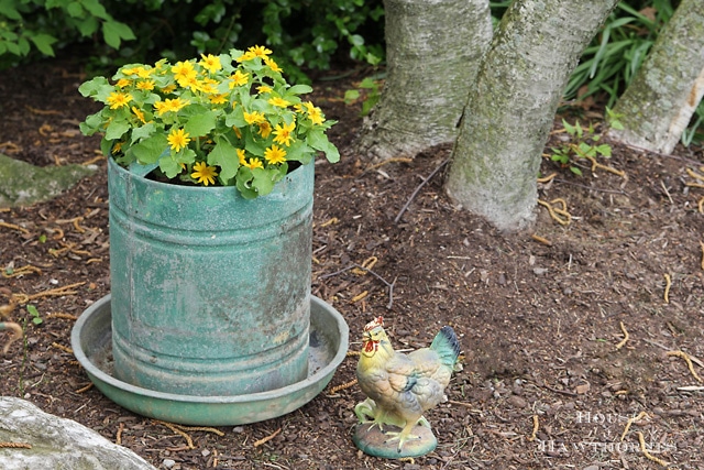 Green chicken feeder planted with yellow flowers. 