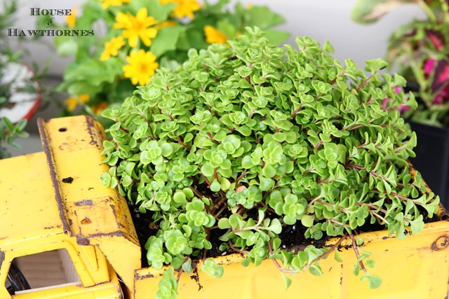 What a fun gardening DIY project! Upcycle a toy truck into a planter (this rusty one was found at a yard sale). Too cute!