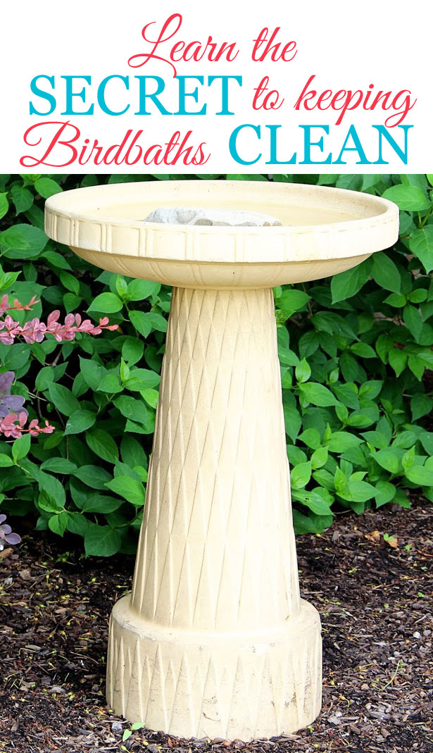 If you are tired of cleaning the nasty gunk out of your birdbath every few days, you will love this tip on how to keep your birdbath cleaner for longer. It really works!