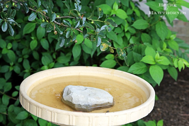 Using copper in your birdbath to keep it cleaner for longer. It really works!