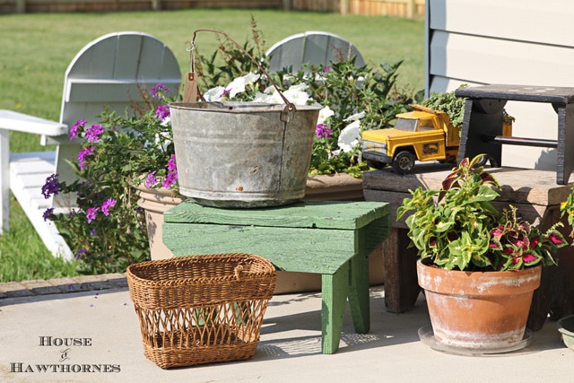 Summer plants on the back porch.