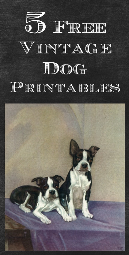 Free printable dog images you can use for crafts or just print our and frame for an extra easy DIY project! 