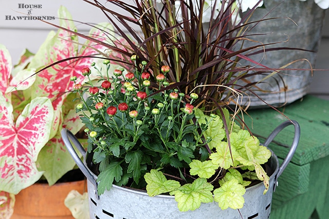 Shows you how to trade out a few plants in your summer container gardens to take them into the fall season in style! 