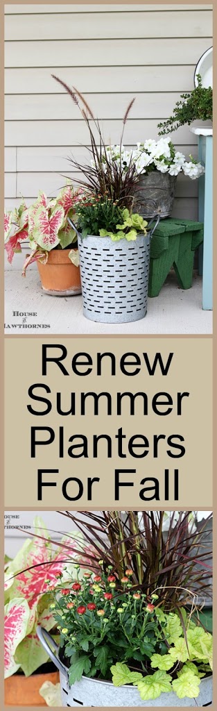 Shows you how to trade out a few plants in your summer container gardens to take them into the fall season in style! 