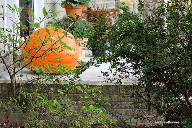 Fall front porch ideas including a HUGE pumpkin, apples, gourds and lots of autumn flowers and perennials.