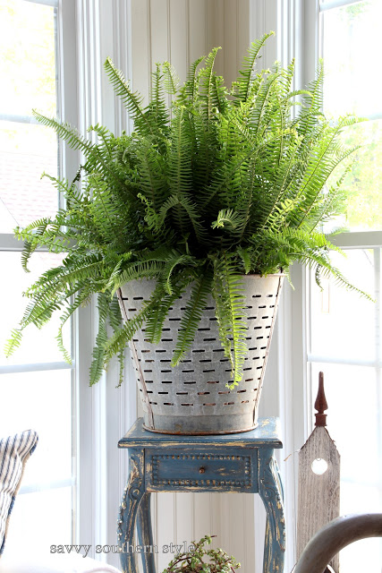 Olive bucket from Savvy Southern Style