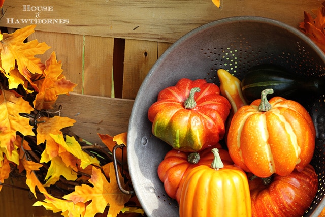 This easy to make fall wreath tutorial is a inexpensive DIY project you can whip up this weekend. You probably have half the supplies in your house already!