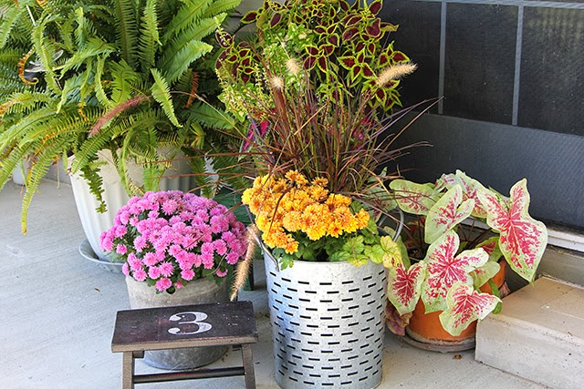 Fall porch decor with cornstalks, DIY wreath, and chevron pillows @ houseofhawthornes.com