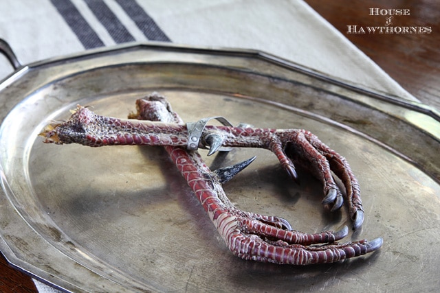 Dried wild turkey legs.