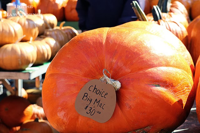 Circleville Pumpkin Show @ HouseOfHawthornes.com